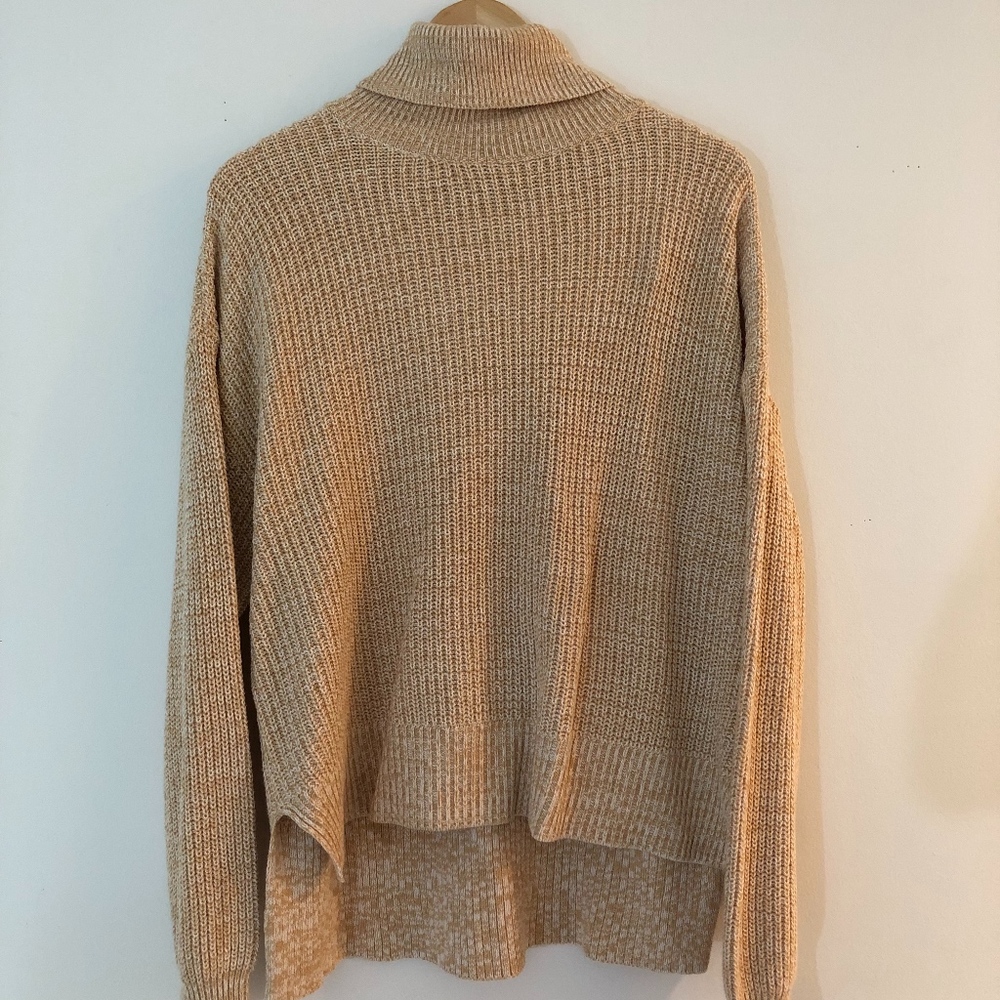 Urban Outfitter Turtleneck Sweater